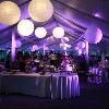 Uplighting by Central Arkansas Entertainment at Garvan Gardens. Floral by Distinctive Designs by Tanarah, Modern Traditions-Wedding Coordinator, Simply The Best Catering, Crystal Goss Photography. Photo by Simply The Best Catering